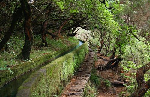 Sao Vicente Villa | Moradia Ponte de Pedra