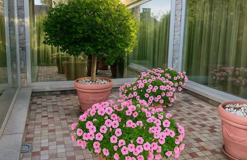 Besozzo Villa | More Than a Stay, a Shared Experience – Green Hill Property on Lake Maggiore