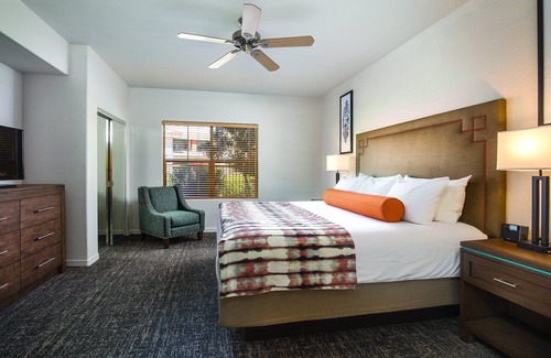 South Scottsdale Complejo | ¡Más para hacer y ver de lo que tienes tiempo!