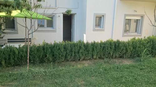 Ioannina Apartamento | Morfeas GR