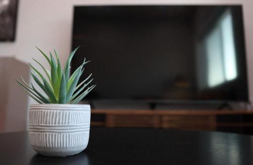 Fontana Apartamento | Morningside Studio 3