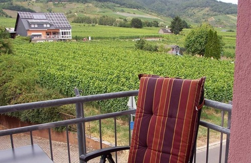 Kinheim Apartamento | Apartment Mosel 2 - Apartment Mosel 115