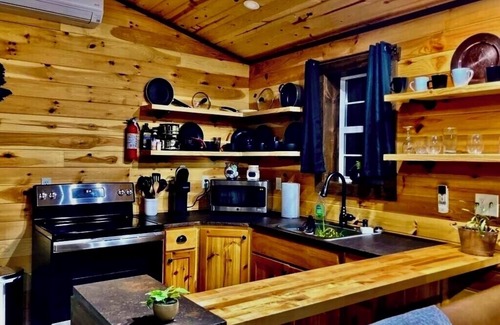 Marienville Cabina | Mossy Oak Villa:Pet-Friendly Cabin Near Cook Forest & Allegheny National Forest