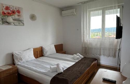 Sebes Hotel | Motel Dacia