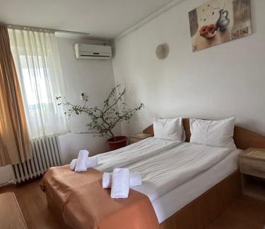 Sebes Hotel | Motel Dacia