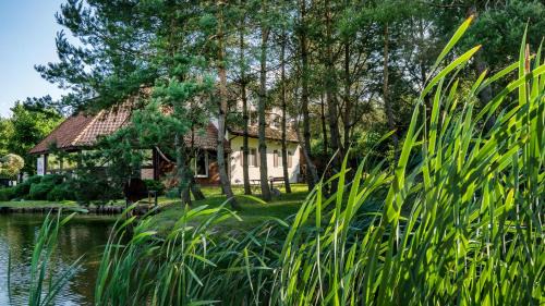 Purda Hotel | Motel Hotelik