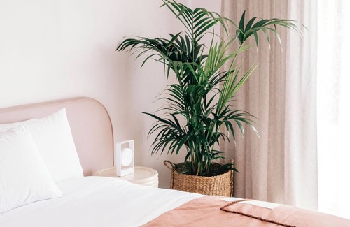 Mollymook Hotel | Motel Molly
