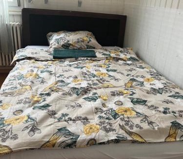 Basadingen-Schlattingen Casa | Motel Schwanen