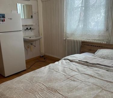 Basadingen-Schlattingen Casa | Motel Schwanen