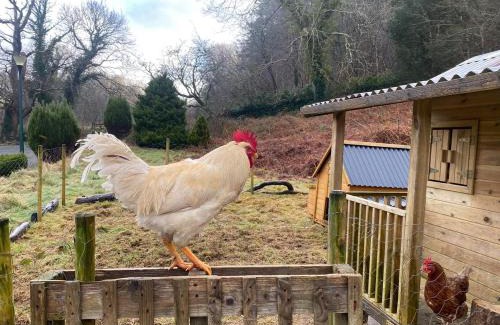 Llanelltyd Apartamento | MotoCamp Wales - Lodges
