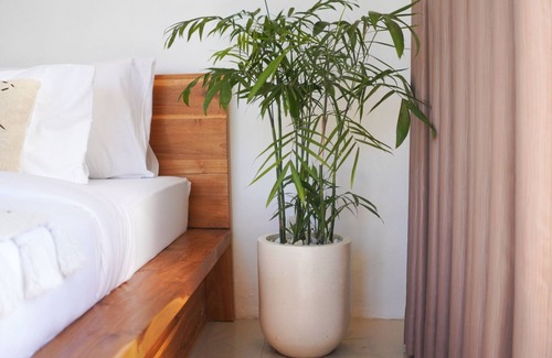 Songan Hotel | Mount Batur Vista Villa