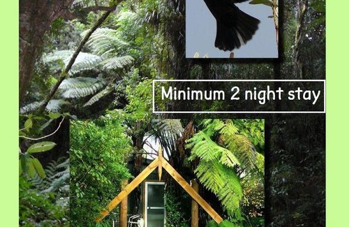 Ohauiti Cama Y Desayuno | Mount Tutu Eco-Sanctuary