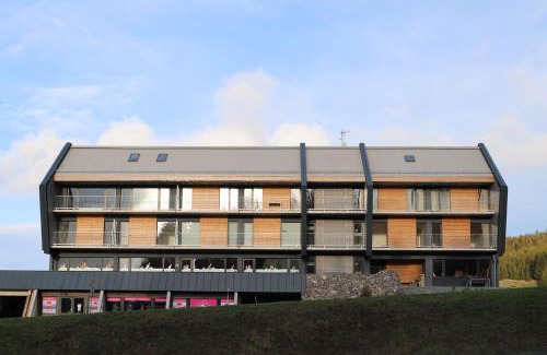Loucna Pod Klinovcem Apartamento | Mountain Apartments Klínovec Hexagon