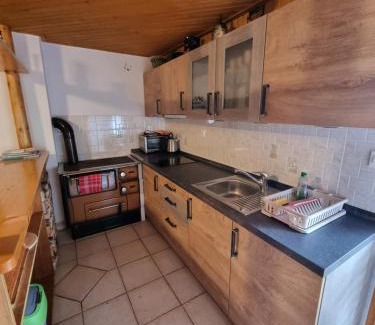 Studor Casa | Mountain apartment Uskovnica