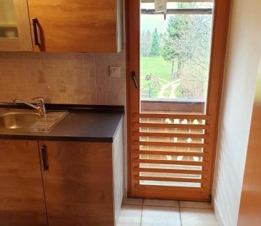 Studor Casa | Mountain apartment Uskovnica
