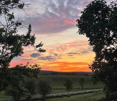 Mulmur Casa | Mountain Ash Country Manor and Spa