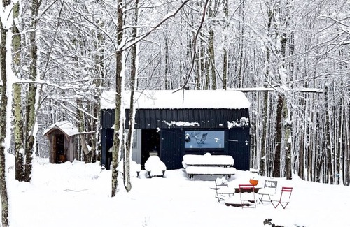 Bovina Center Apartamento | Off-Grid Tiny Cabin with Cozy Vintage Charm