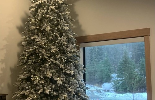 Hyak Cabina | Mountain Cabin