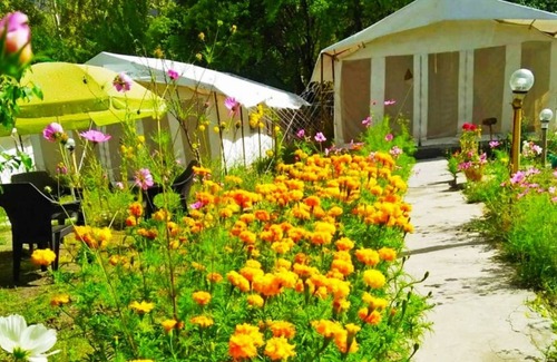 Nubra Valley Alquiler De RV | Mountain Camp