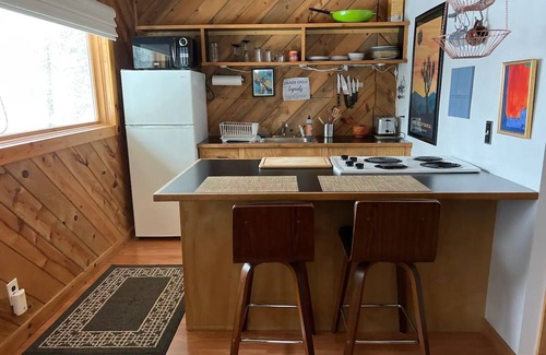 Nederland Cabaña | Mountain Cottage Getaway in Nederland