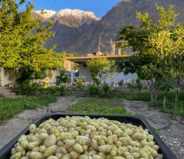 Gilgit-Baltistan Apartamento | Mountain Dale Guest House