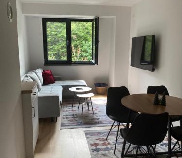 Bjelasnica Apartamento | Mountain Dream