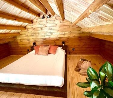 Monte Otro | Mountain Eco Shelter 3