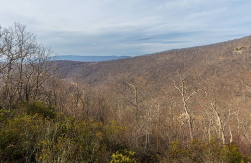 Nellysford Casa | Mountain Gem is a Home with a View