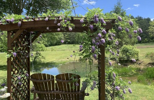 Blairsville Cabina | Mountain Getaway for You & Your Pet: Near Helen, Blue Ridge & Appalachian Trail!