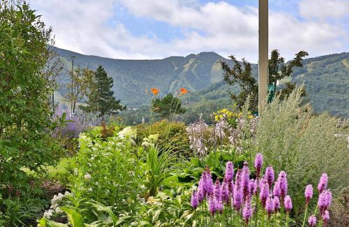 Killington Apartamento | Mountain Green Resort by Killington VR - 2 Bedrooms