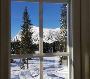Fla Municipality Casa | Mountain Home At Haglebu With Activities