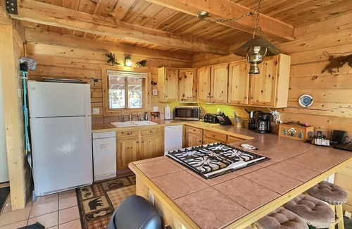 Leadville North Cabina | Mountain Log Home-Among Lodgepole Pines