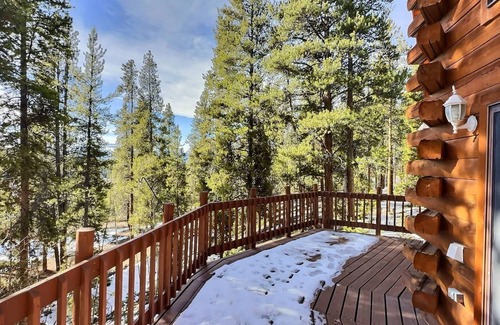 Leadville North Cabina | Mountain Log Home-Among Lodgepole Pines