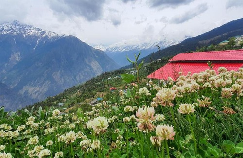 Auli Complejo | Mountain Rover Auli Resort