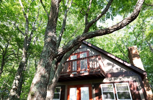 Dan River Casa | Tiempo de montaña en el BlueRidge Parkway !!
