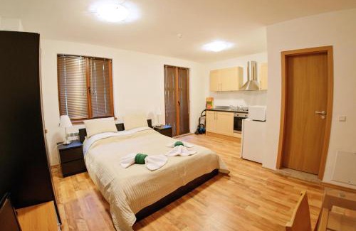 Shiligarnika Apartamento | Mountain View Aparthotel