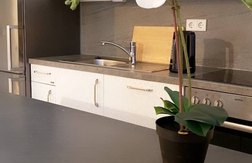 Wals-Siezenheim Apartamento | Mountain view