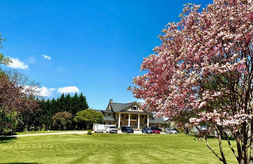 Skyland Cabina | Mountain View Cabin @ Skylaranna Resort