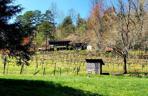 Franklin Casa | Mountain view cabin, fully remodeled, huge screen in porch with panoramic view.