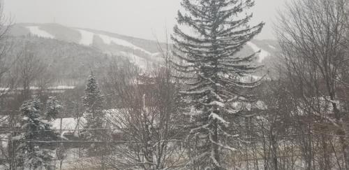 Stoneham Casa | Mountain view chalet avec vue sur la montagne