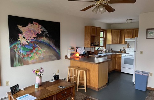 Leadsville Apartamento | Mountain View