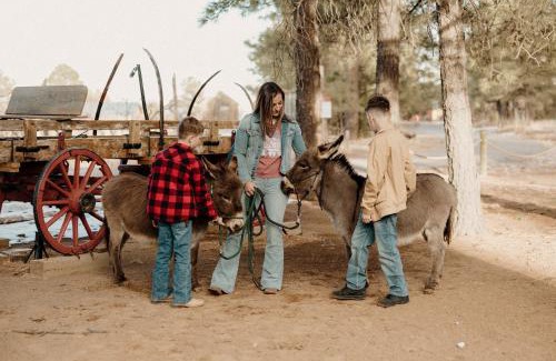 McIntosh Otro | Mountain Views & Family Glamping Retreat