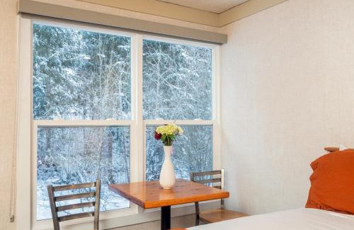 Telluride Hotel | Mountainside Inn 409 by Alpine Lodging Telluride