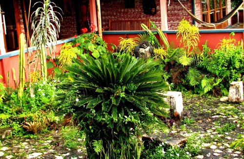 Caledonia Villa | Teatro \ Galería de Mountambrin ~ Un retiro de villa y artista