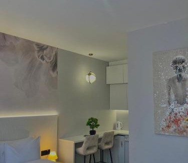 Sarajevska Apartamento | Move In Apartments - ApartHotel Belgrade