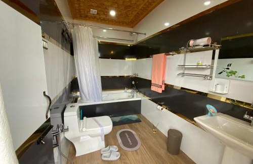 Dal Lake Hotel | Movie land group of house boats
