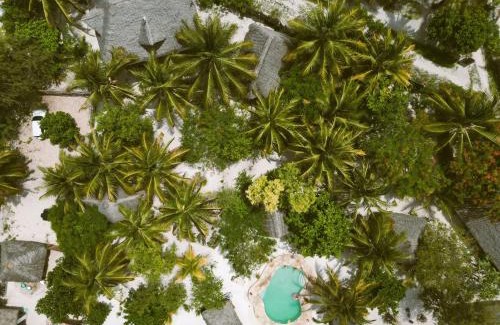 Michamvi Cama Y Desayuno | Mpole Bungalows