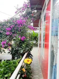 Da Lat Casa | Mr.Khanh Coffee