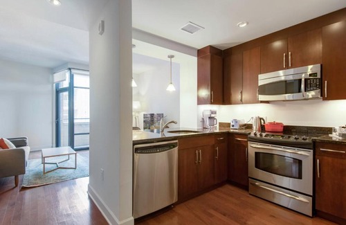 Mount Vernon Triangle Apartamento | Mt Vernon 1BR w Gym WD 2 Pools roomy rooftop WDC-39