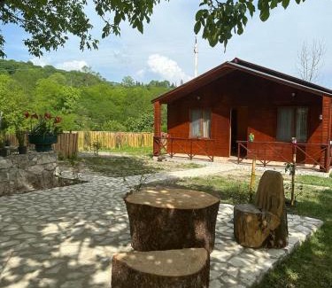 Zeda Gordi Casa | Mtis guli